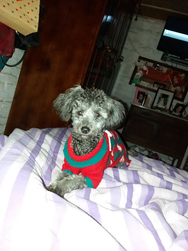 Panaderia Sureña - Dolores