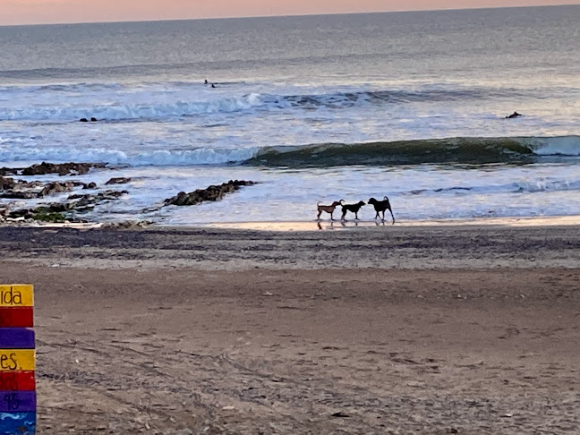 Opinii despre Puerto viejo în Rocha - Gastronomía y hostelería