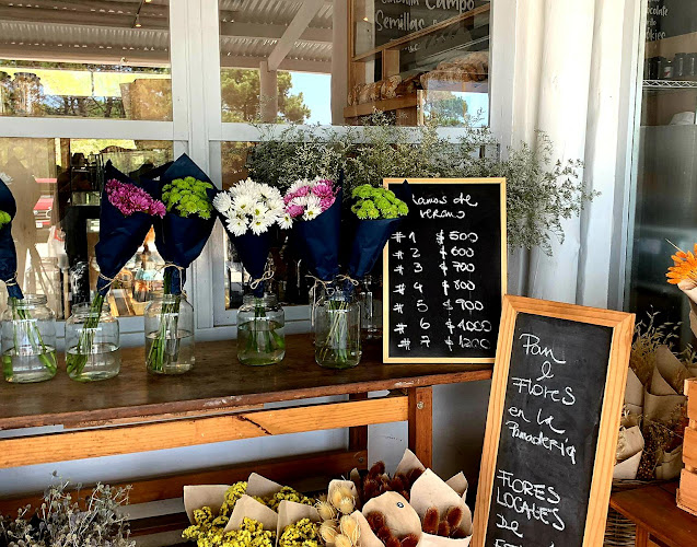 Panadería José Ignacio - Gastronomía y hostelería