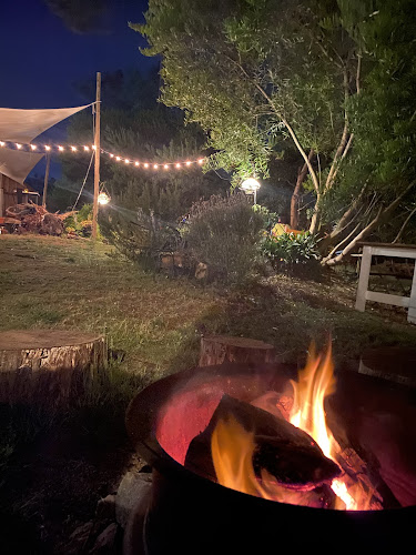 Comentarii opinii despre Roseta