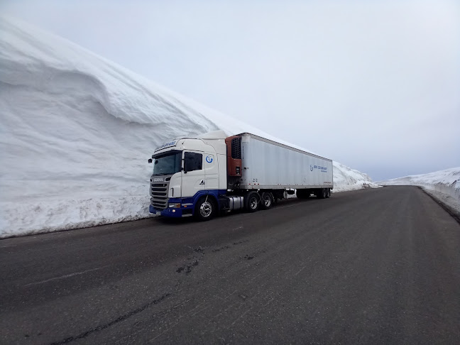 Comentarii opinii despre Mar Austral