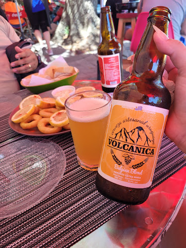 Los Kamikazes Colonia