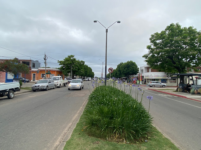 Comentarii opinii despre Pizzería Los Duendes San Carlos