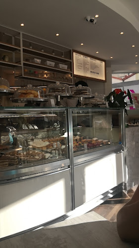 Pecas Pocitos - Montevideo