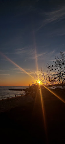 Comentarii opinii despre LUFROL" Tortas