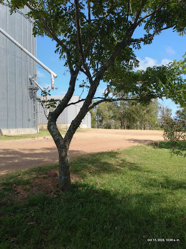 Oro's Resto-Pub - Rivera