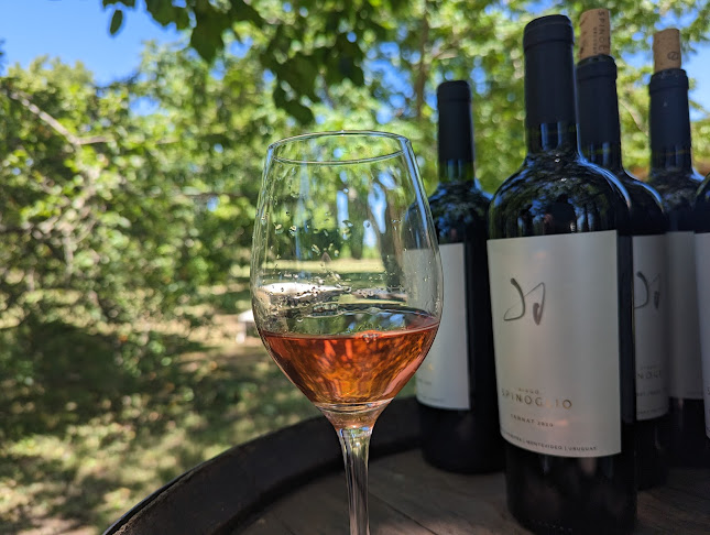 MonfrA winerestaurant