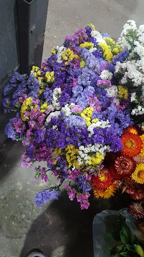Opinii despre COFLORAL (mercado de flores) în Montevideo - Gastronomía y hostelería