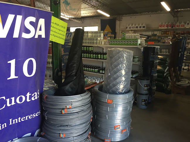 Santos Errandonea 285, 50000 Salto, Departamento de Salto