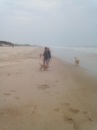 Comentarii opinii despre Puerto Tubarao