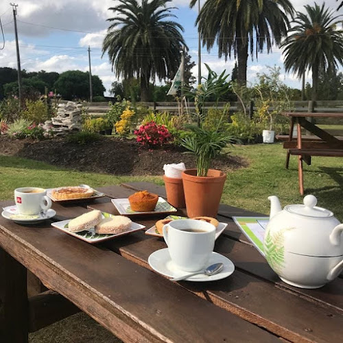 Opinii despre Caffe vivero motivos în San José de Mayo - Gastronomía y hostelería