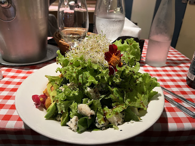 Entre Uruguay y, Roosevelt, 70100 Carmelo, Departamento de Colonia