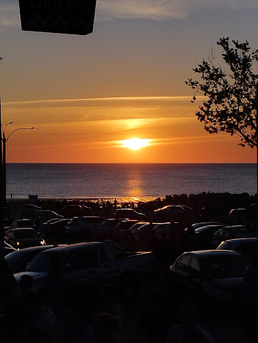 Opinii despre Volve Mi Negra în Montevideo - Gastronomía y hostelería