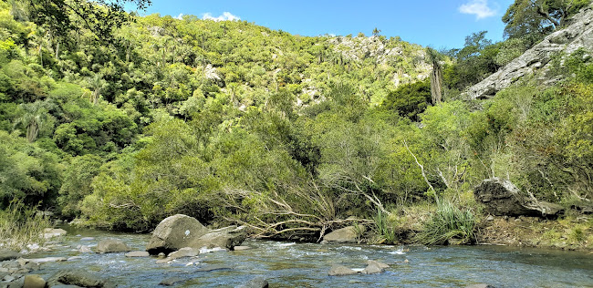 Comentarii opinii despre Grido Treinta Y Tres