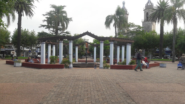 Juan Antonio Lavalleja 614, 90200 Las Piedras, Departamento de Canelones