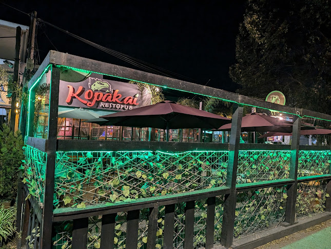 Comentarii opinii despre Kopakai