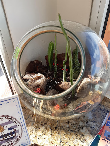 Ventura Alegre calle Ventura Alegre, Maldonado 20000, Ventura Alegre calle Ventura Alegre, Maldonado