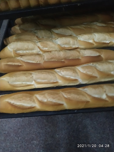 Cam. de los Gauchos, 20000 Maldonado, Departamento de Maldonado