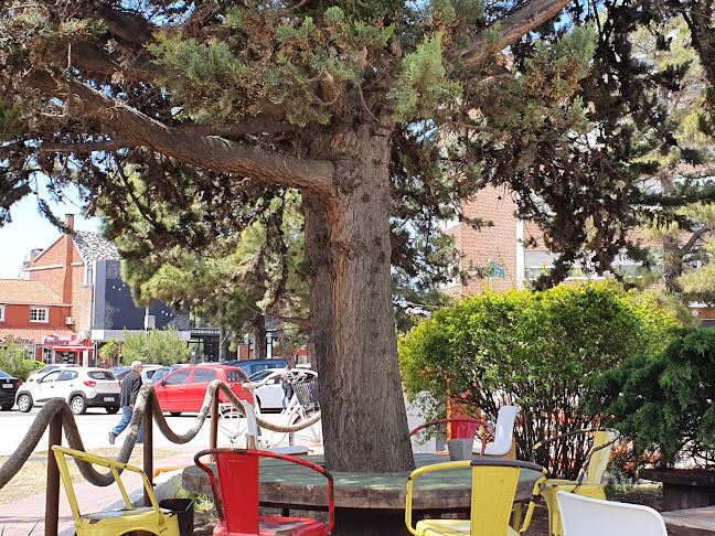 Cambara 1614, 11500 Montevideo, Departamento de Montevideo