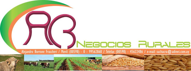 Opinii despre Alejandro Borrone în Fray Bentos - Gastronomía y hostelería