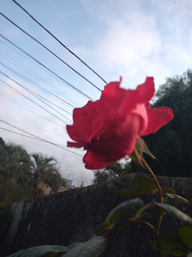 Crismar - Gastronomía y hostelería