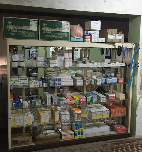 Agroventas Paso de los Toros - Gastronomía y hostelería