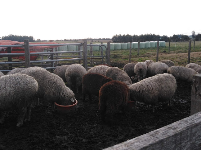 Ruta 3, Departamento de San José