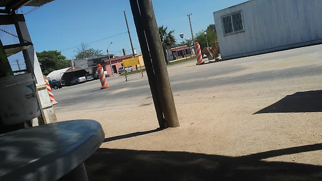 El Colmado - Trinidad