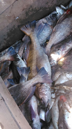 Comentarii opinii despre Pescado Fresco El Diente