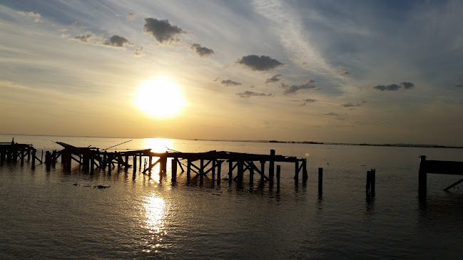 Wolves - Barrio Anglo