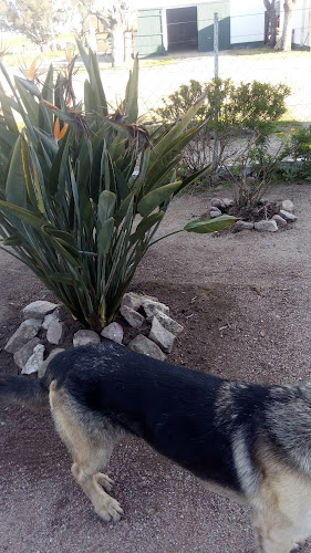 Establecimiendo ""EL TALA"" - Gastronomía y hostelería