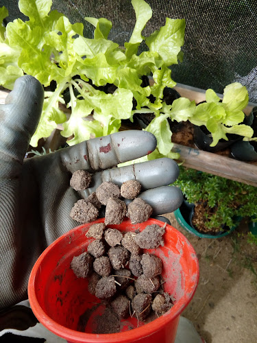 Feria de Plantas - Canelones
