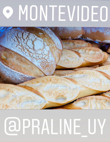 Maria Espinola 1611, 11400 Montevideo, Departamento de Montevideo