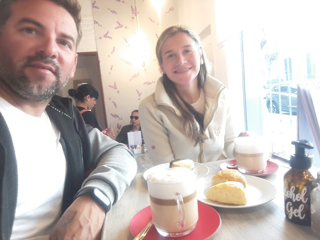 Lupinus - Fray Bentos