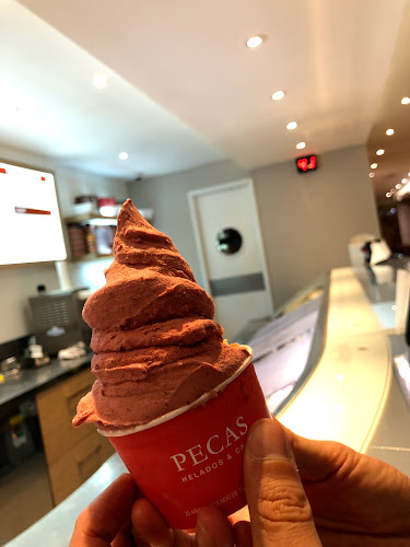 Pecas Punta del Este - Gastronomía y hostelería