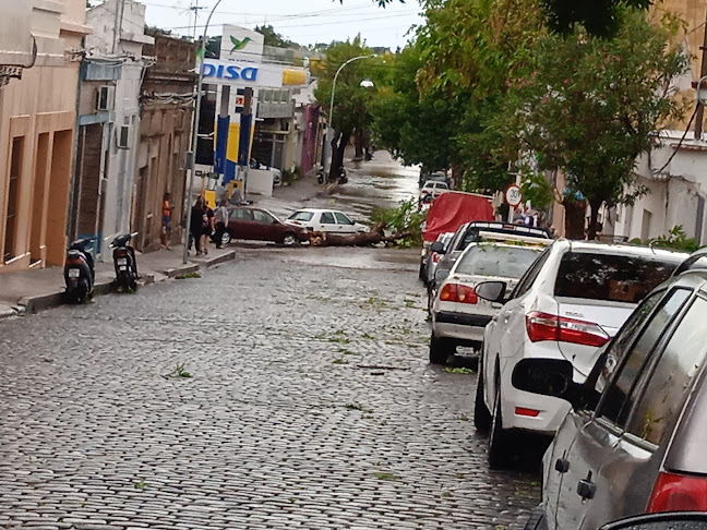 Comentarii opinii despre Viva lo Natural