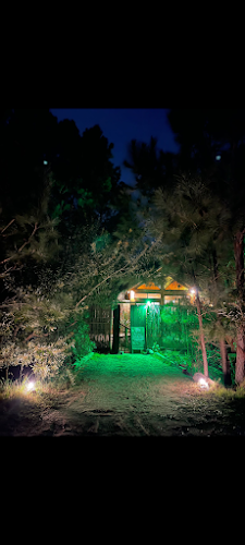 Raíz Cocina Saludable - Punta del Diablo