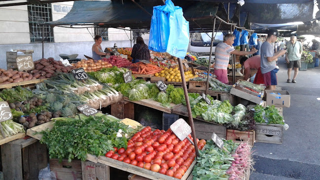 Acevedo Diaz y Ana M. de, Departamento de Lavalleja, Uruguay