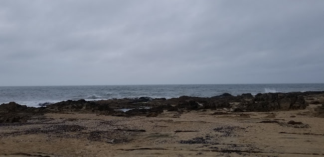 Comentarii opinii despre Parador del desplayado