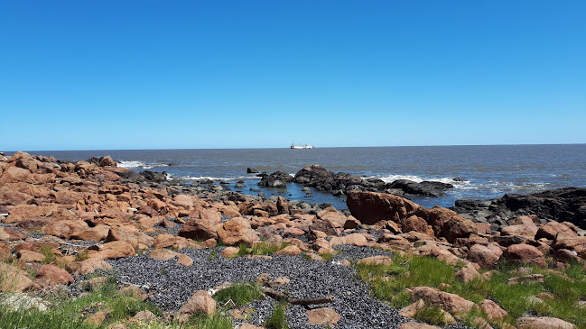 Puertito Don Anselmo - Gastronomía y hostelería