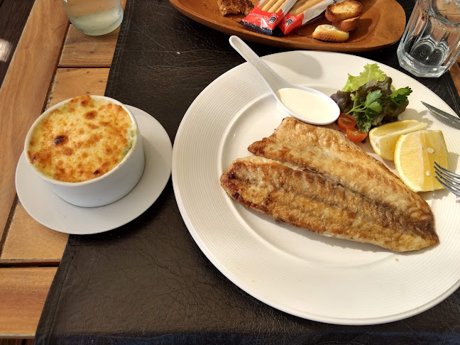 Comentarii opinii despre Salmuera