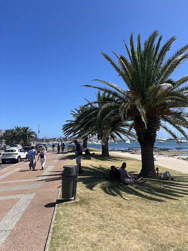 Atlantico - Gastronomía y hostelería