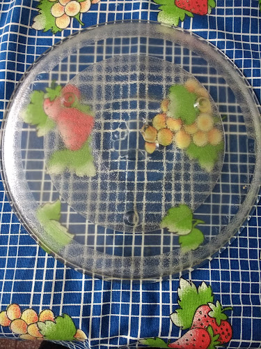 Parque Del Plata - Tacuarembó