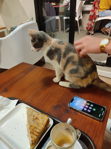 Comentarii opinii despre Telizzia Cat Café