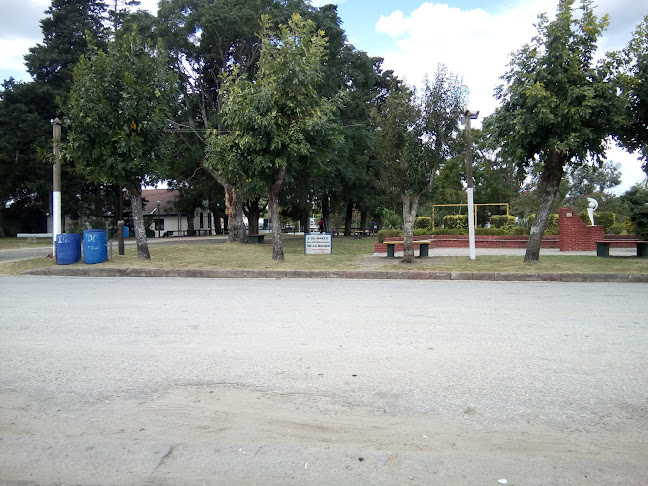 BAR MACHIN HERMANOS - Florida