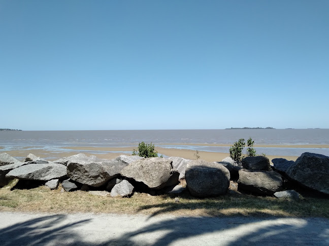 Club Deportivo. XSPORTING URUGUAY