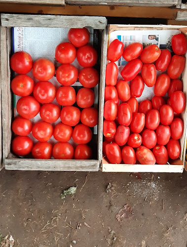 Frutas & Hortalizas "NAHUEL" - Gastronomía y hostelería