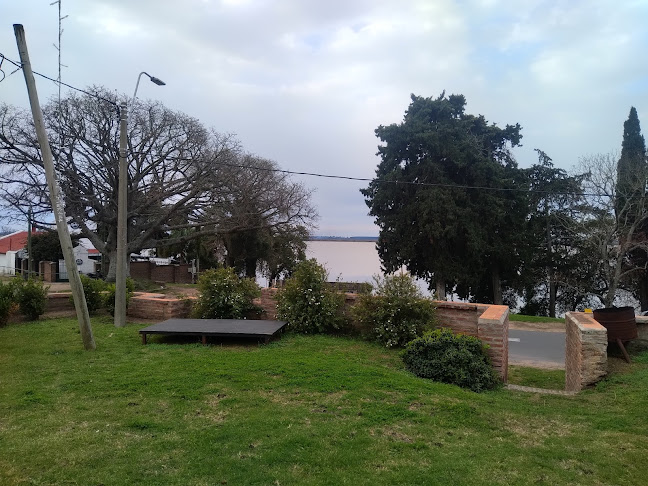 Green Star - Fray Bentos