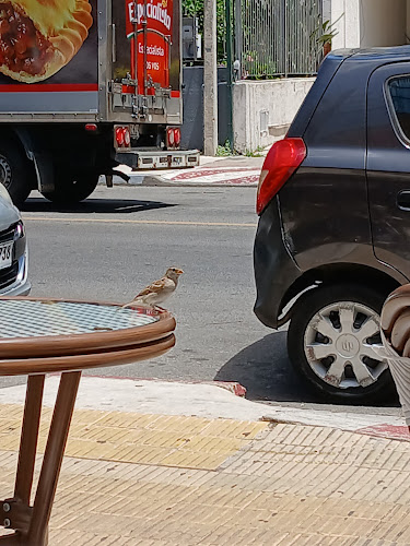 Opinii despre Panaderia Más Paladar în Montevideo - Gastronomía y hostelería