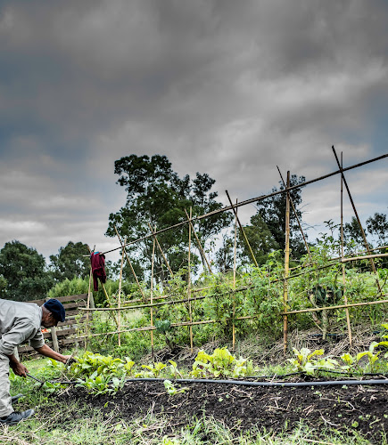Huerta agroecologica Espiral del Sol - Col. del Sacramento